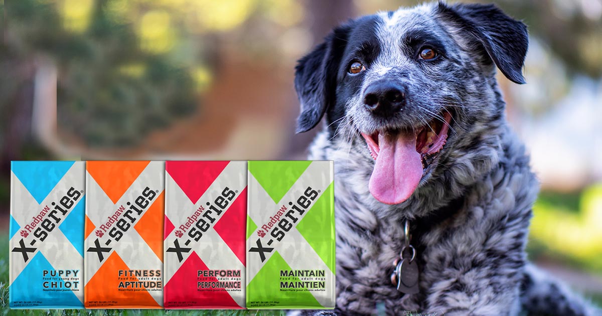 red paw x series dog food